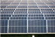 An image of a field of a solar panel farm. 