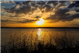 A dusky yellow and gold image of the sun setting on Cedar Creek Lake. 