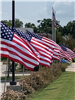 A line of American Flags waving in the wind in front of Kaufman City Hall