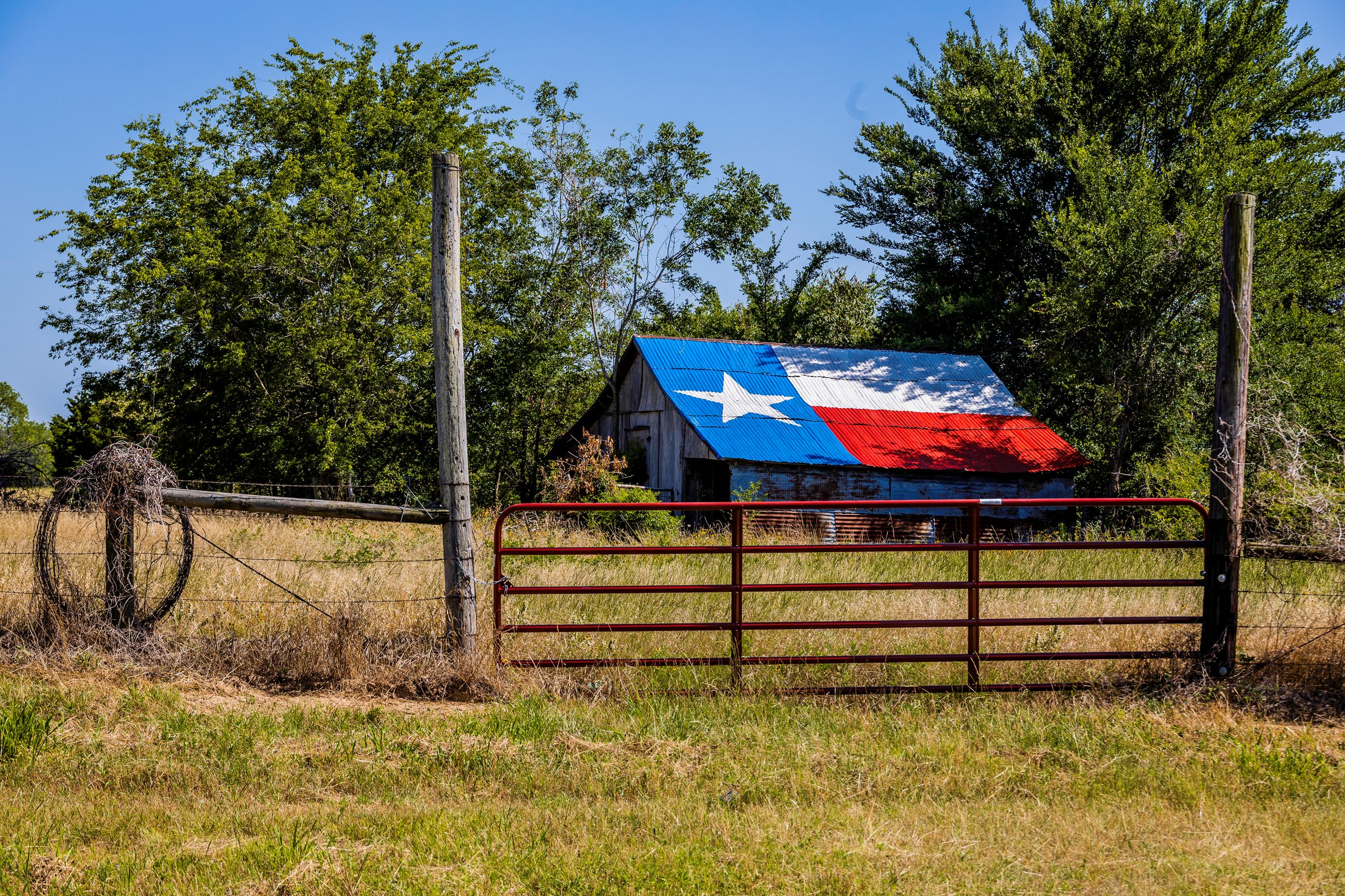 An image of a rustic old barn with the roof painted as a bright Texas flag.