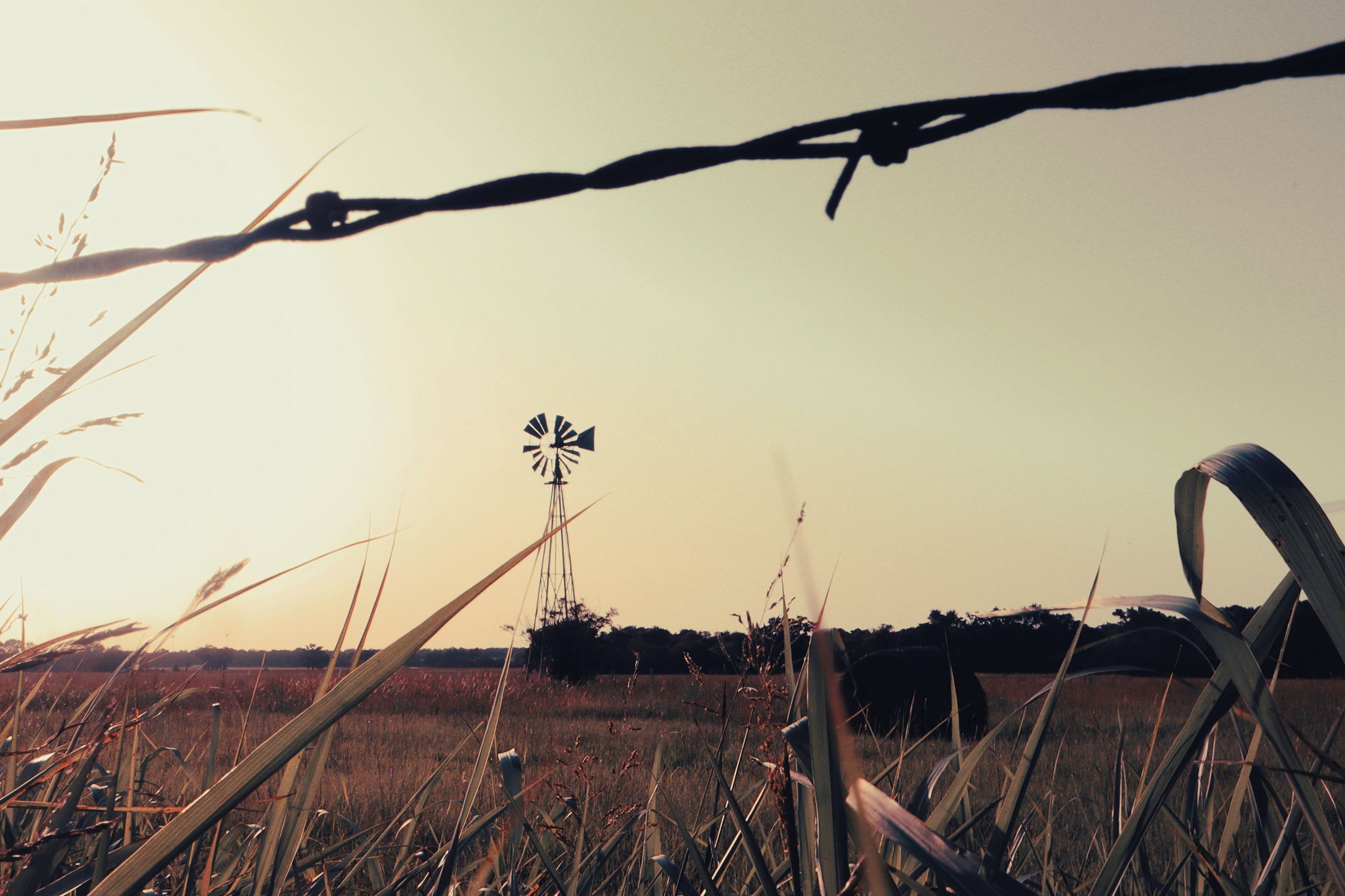 An image of an old windmill as seen through a barbed wire fence. 