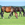Grazing horses in an open field