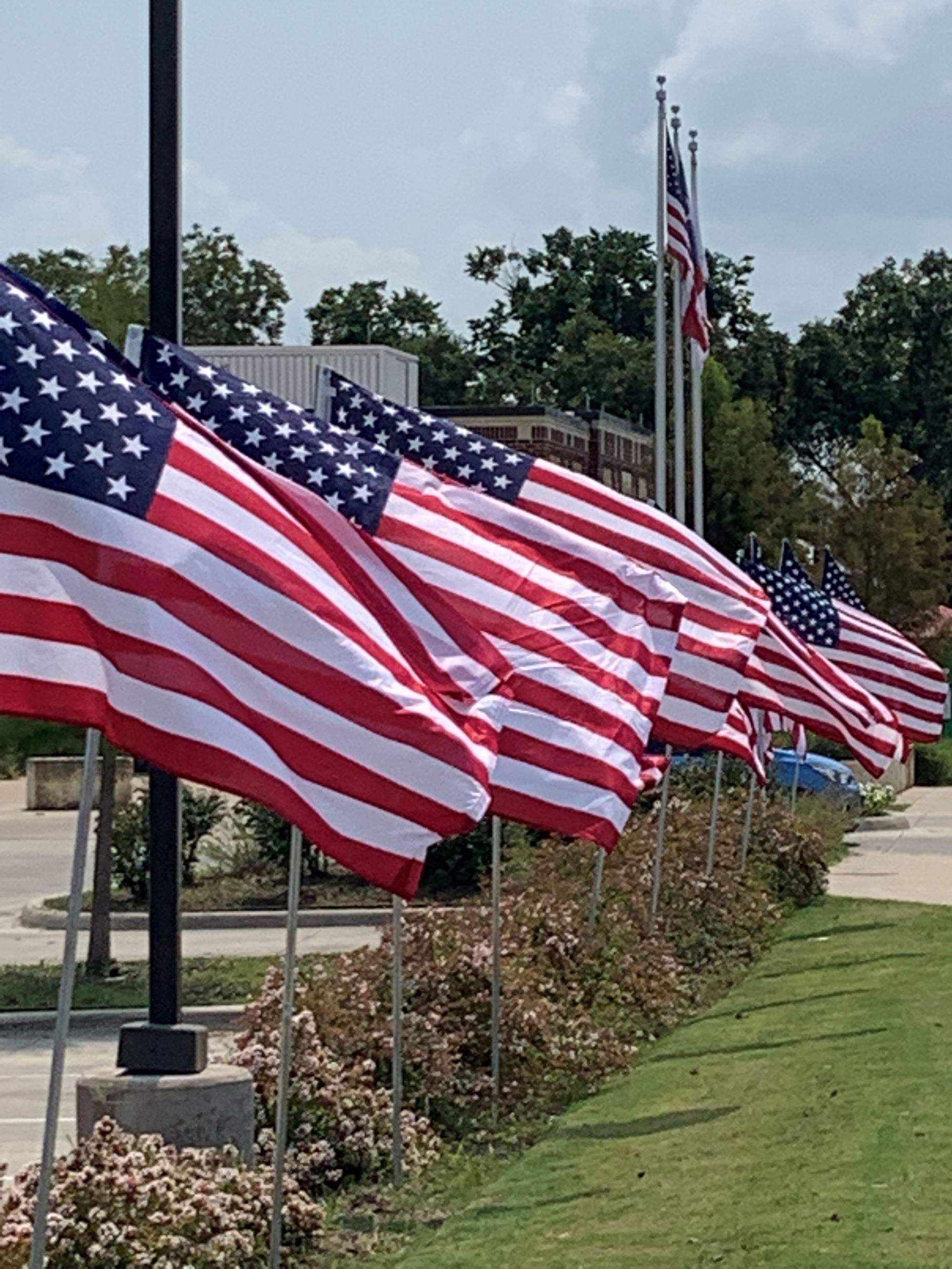A line of American Flags waving in the wind in front of Kaufman City Hall