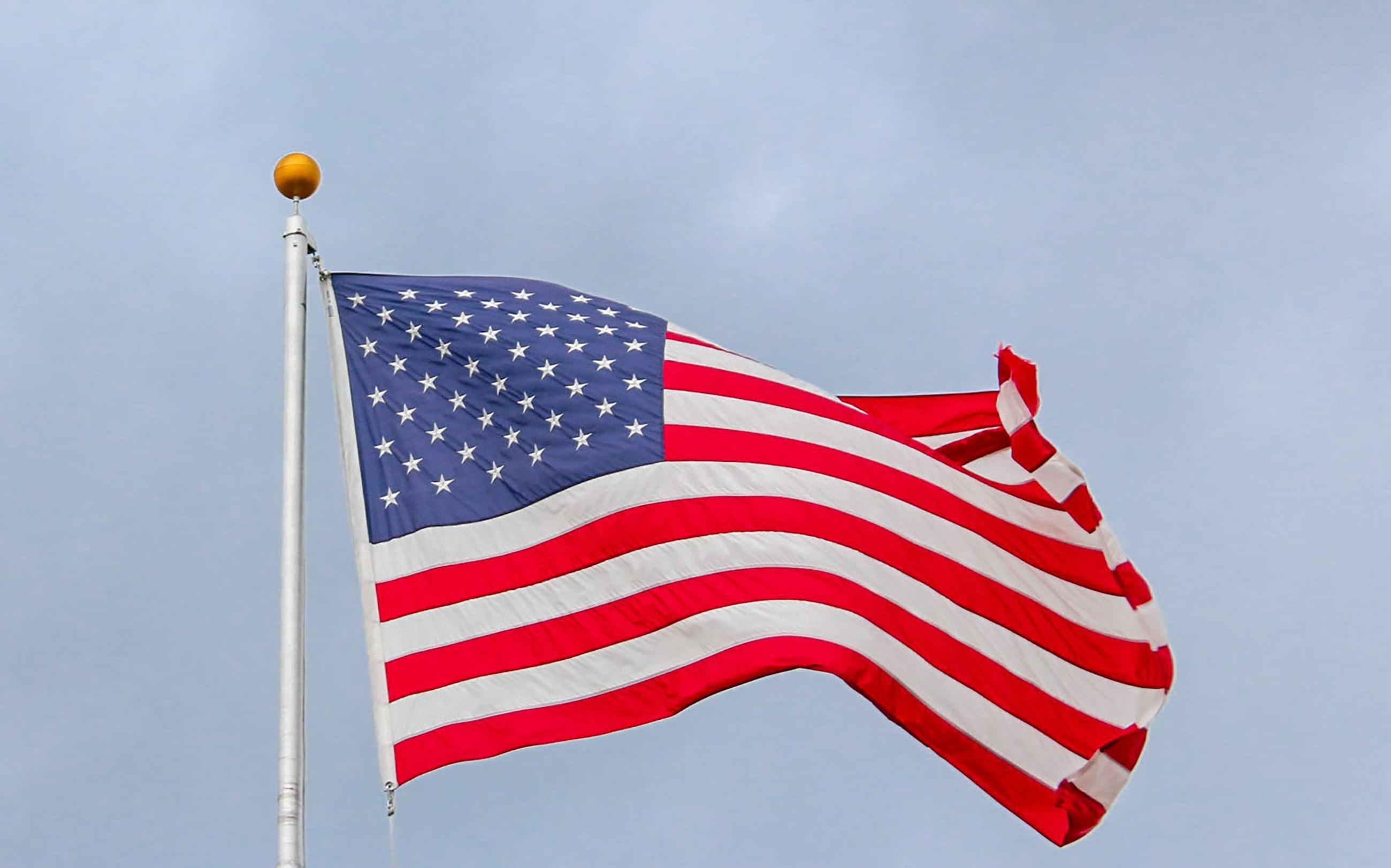 Veterans Day photo
