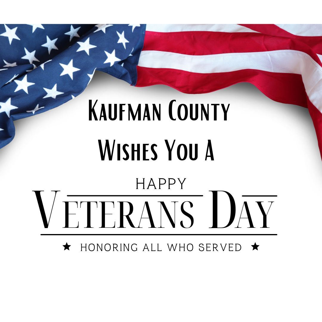 USA Veterans Day Instagram Post