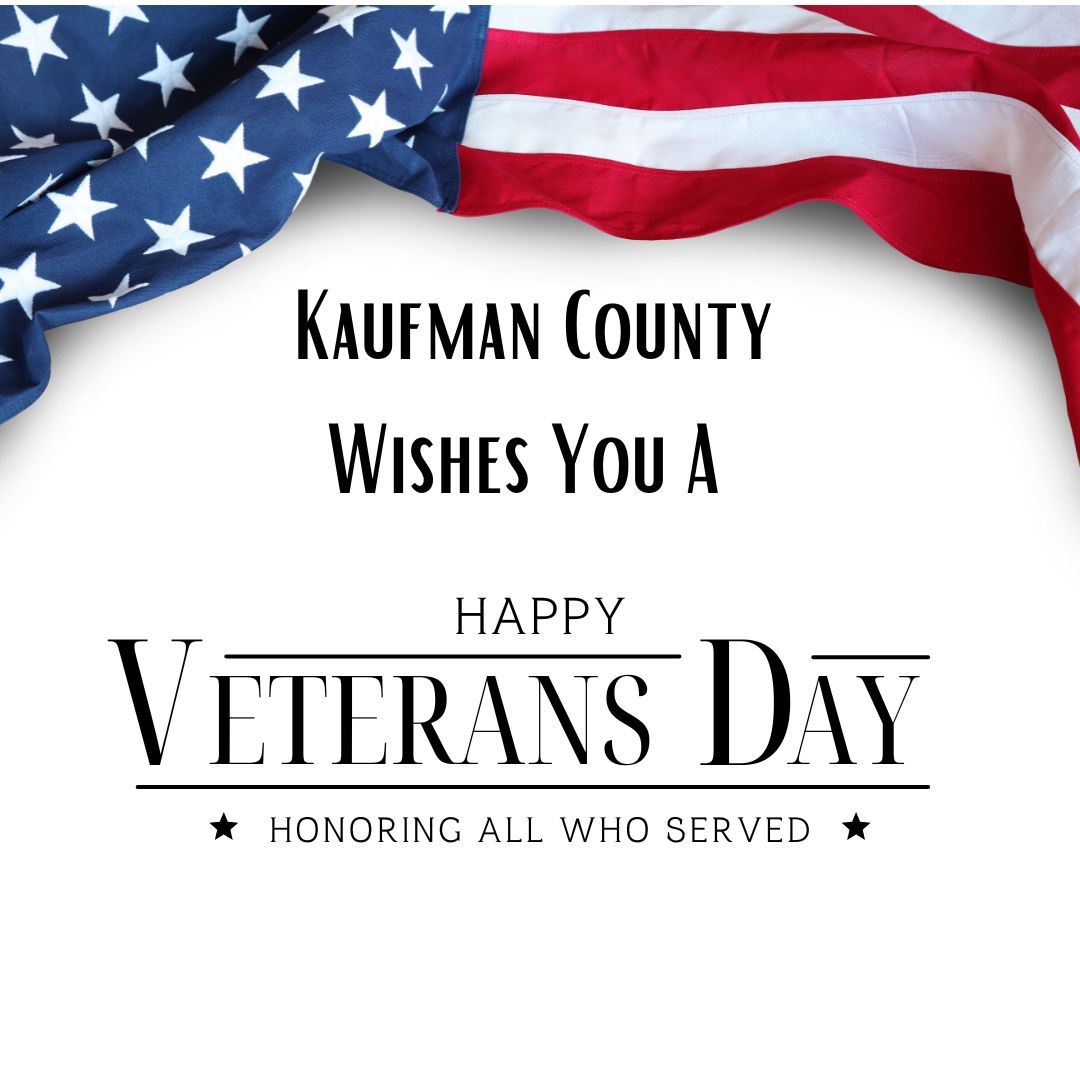USA Veterans Day Instagram Post (1)